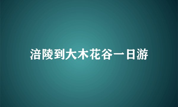 涪陵到大木花谷一日游
