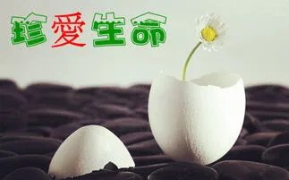 少女跳楼身亡楼下父亲欲接住被砸死,这是如何惨痛的事情