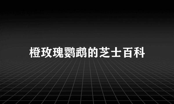 橙玫瑰鹦鹉的芝士百科