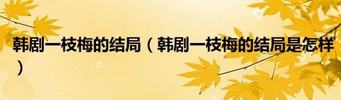 韩剧一枝梅的结局（韩剧一枝梅的结局是怎样）