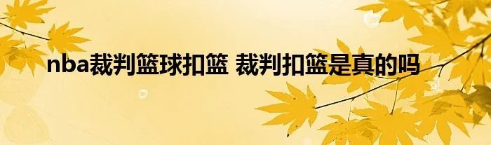 nba裁判篮球扣篮 裁判扣篮是真的吗
