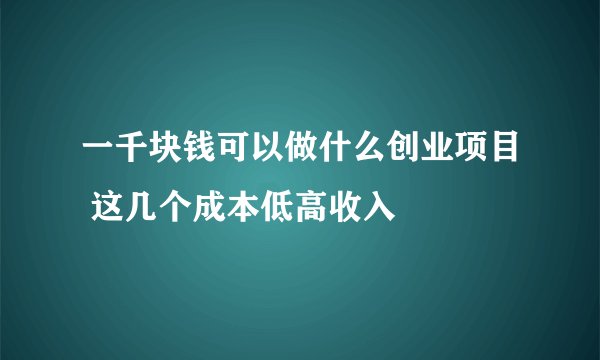 一千块钱可以做什么创业项目 这几个成本低高收入
