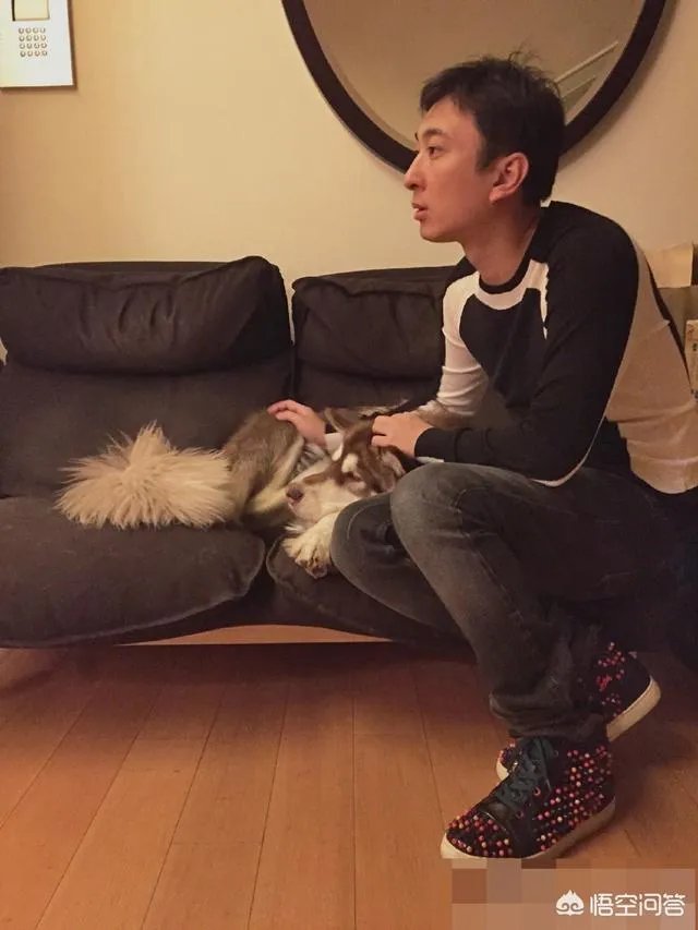 被爆一夜两女后怒怼李小璐,“国民老公”王思聪为何自称“丧偶”?