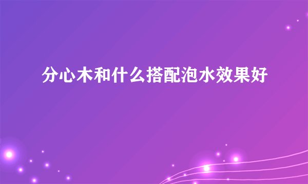 分心木和什么搭配泡水效果好