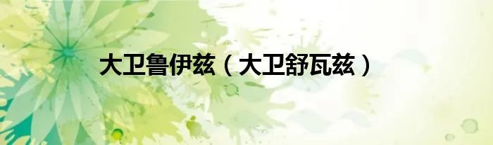 大卫鲁伊兹(大卫舒瓦兹)