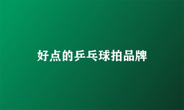 好点的乒乓球拍品牌