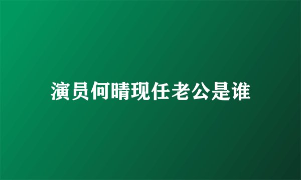 演员何晴现任老公是谁