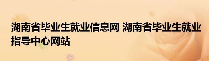 湖南省毕业生就业信息网 湖南省毕业生就业指导中心网站