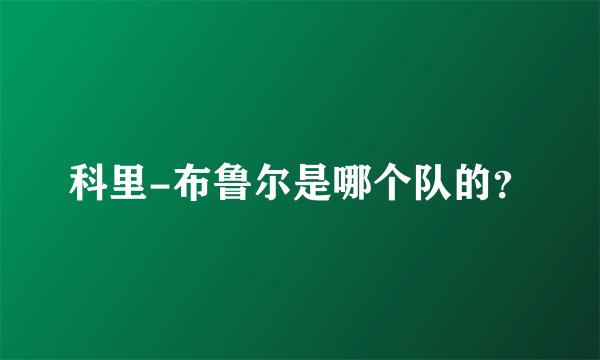 科里-布鲁尔是哪个队的？