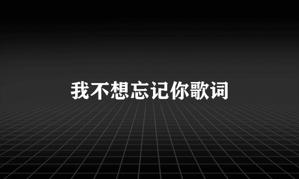 我不想忘记你歌词