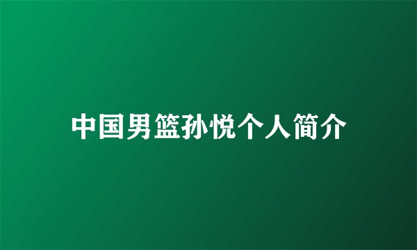 中国男篮孙悦个人简介