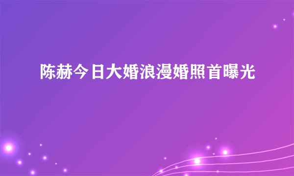 陈赫今日大婚浪漫婚照首曝光