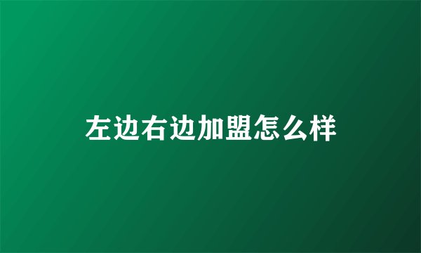 左边右边加盟怎么样