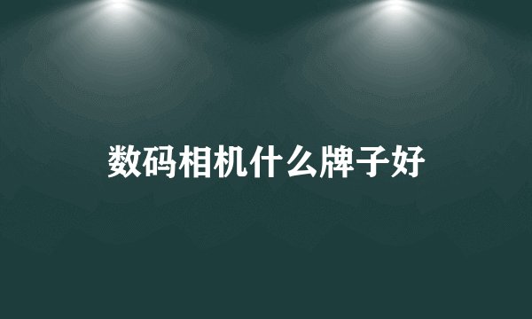 数码相机什么牌子好