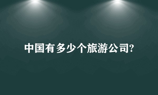 中国有多少个旅游公司?