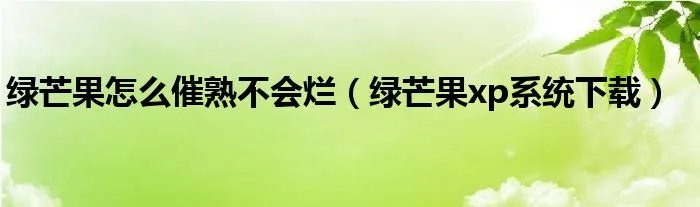 绿芒果怎么催熟不会烂（绿芒果xp系统下载）