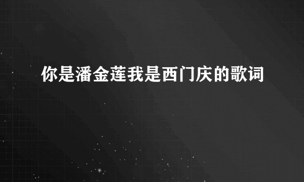 你是潘金莲我是西门庆的歌词