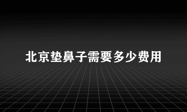北京垫鼻子需要多少费用