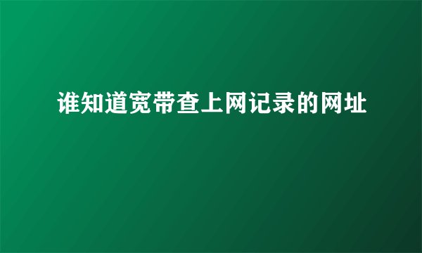 谁知道宽带查上网记录的网址