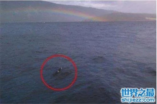 温德米尔湖水怪事件,不少人猜测只是普通的大型鱼类