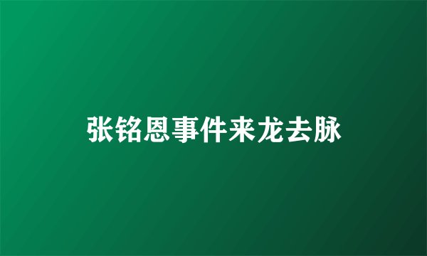 张铭恩事件来龙去脉
