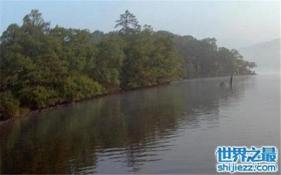 温德米尔湖水怪事件,不少人猜测只是普通的大型鱼类