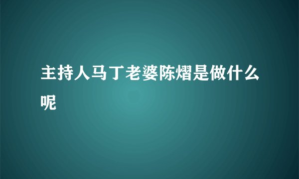 主持人马丁老婆陈熠是做什么呢