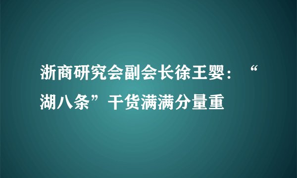 浙商研究会副会长徐王婴:“湖八条”干货满满分量重