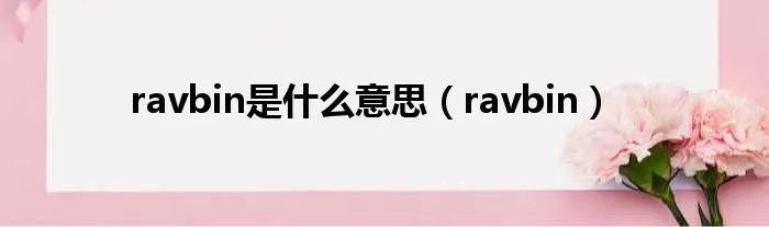 ravbin是什么意思（ravbin）