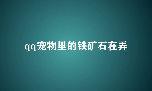 qq宠物里的铁矿石在弄