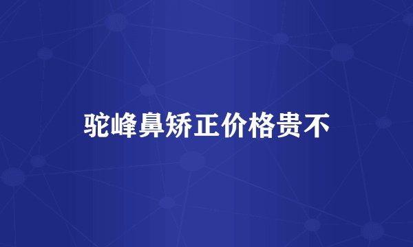 驼峰鼻矫正价格贵不