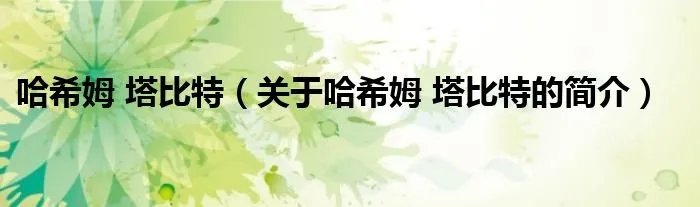 哈希姆 塔比特（关于哈希姆 塔比特的简介）