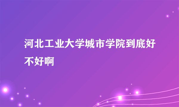河北工业大学城市学院到底好不好啊