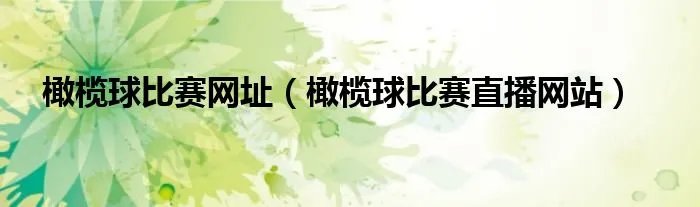 橄榄球比赛网址(橄榄球比赛直播网站)