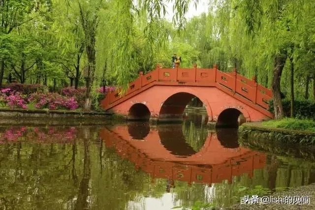 你觉得现在的综艺节目最大的看点在哪里？
