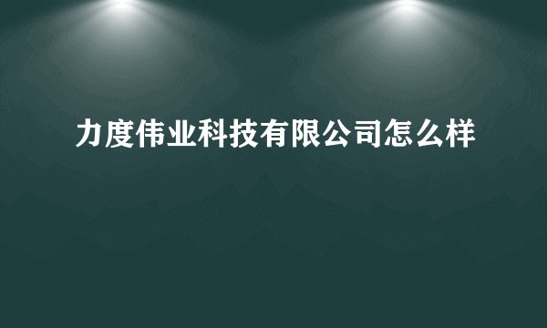 力度伟业科技有限公司怎么样