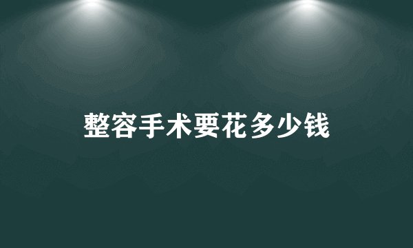 整容手术要花多少钱
