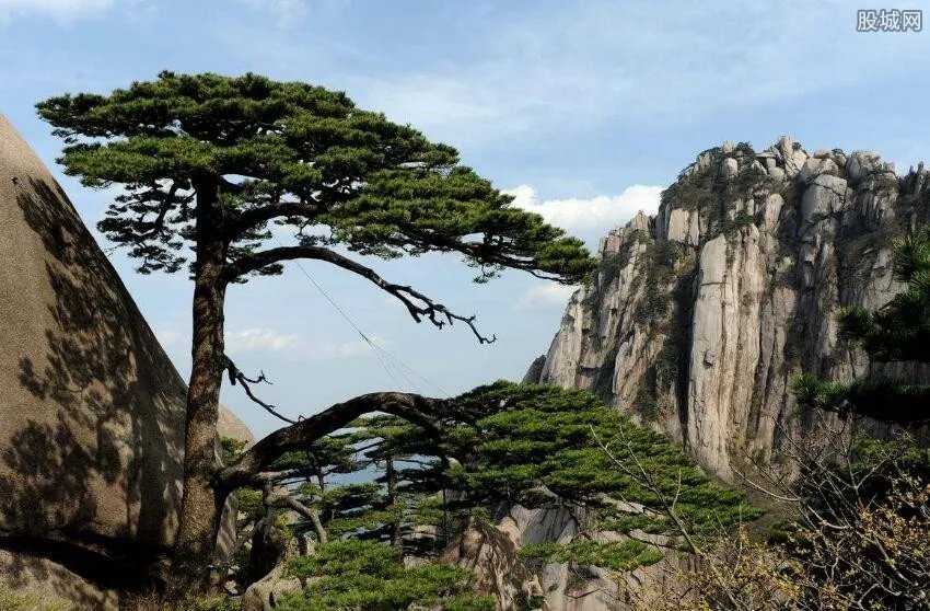 黄山门票有没有优惠 黄山门票多少钱?