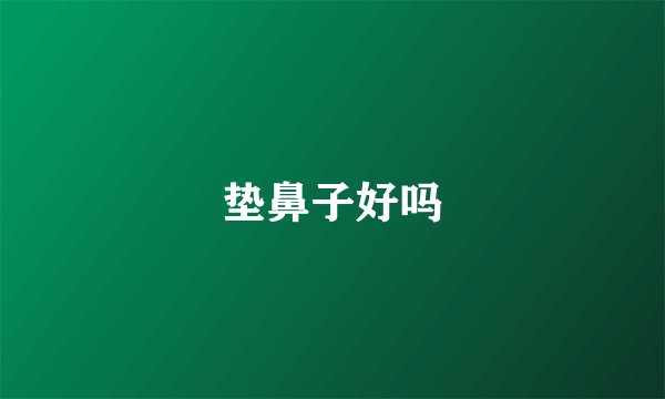 垫鼻子好吗