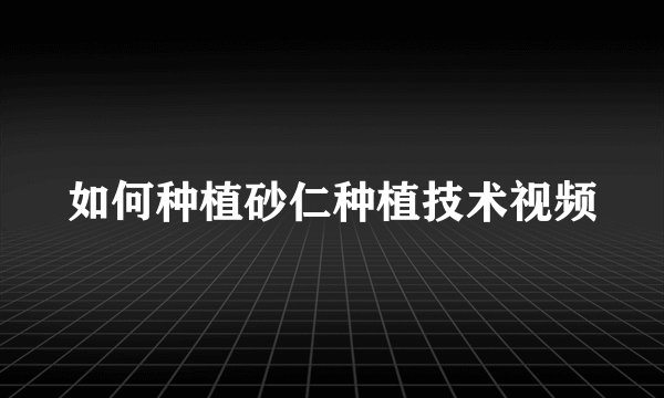 如何种植砂仁种植技术视频
