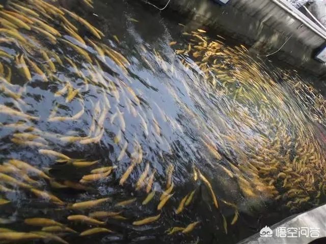 怀柔哪里好玩