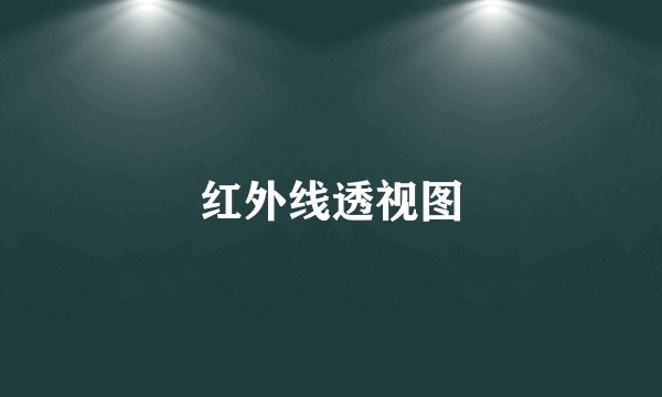 红外线透视图