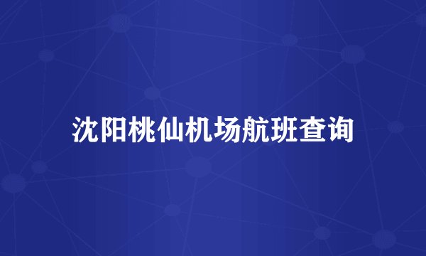 沈阳桃仙机场航班查询