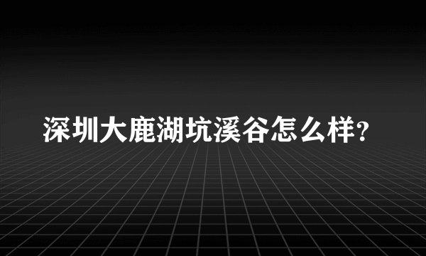 深圳大鹿湖坑溪谷怎么样？