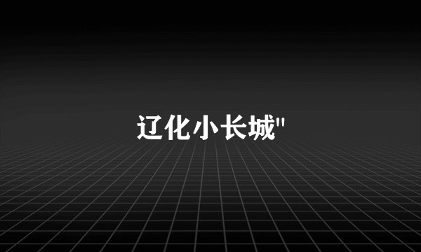 辽化小长城