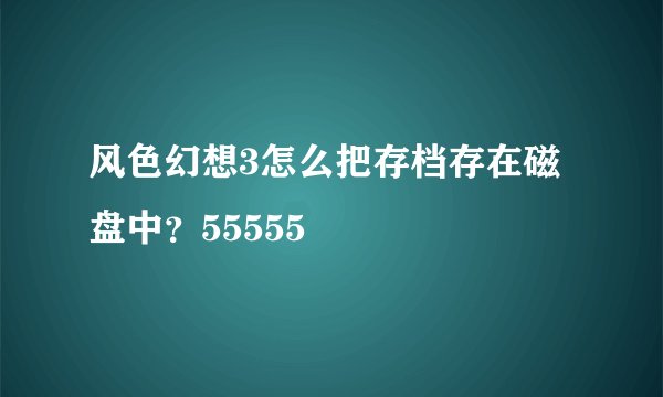 风色幻想3怎么把存档存在磁盘中？55555