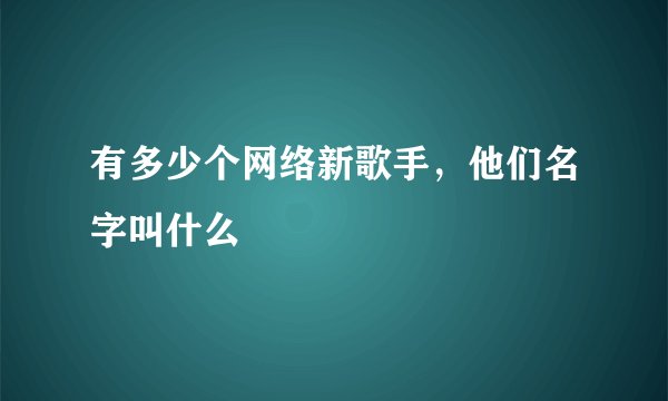 有多少个网络新歌手，他们名字叫什么