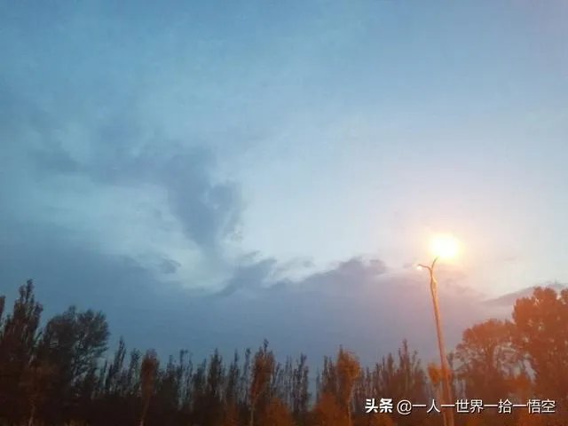 你觉得现在的综艺节目最大的看点在哪里？