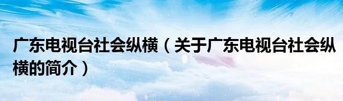 广东电视台社会纵横（关于广东电视台社会纵横的简介）