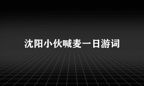 沈阳小伙喊麦一日游词